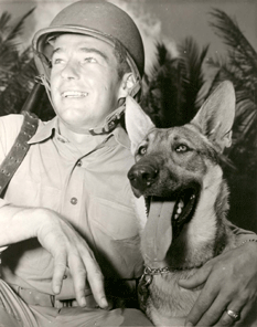 The 1st Marine War Dog Platoon were the ‘goodest bois’ of WWII